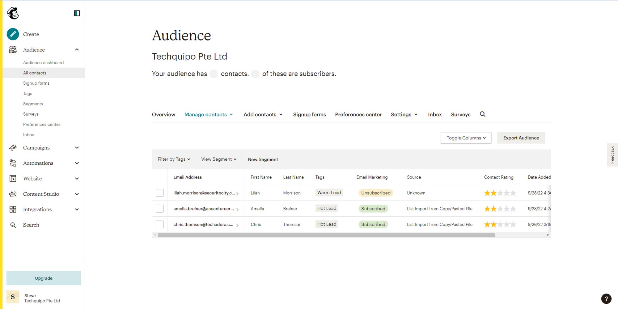 Mailchimp CRM audience