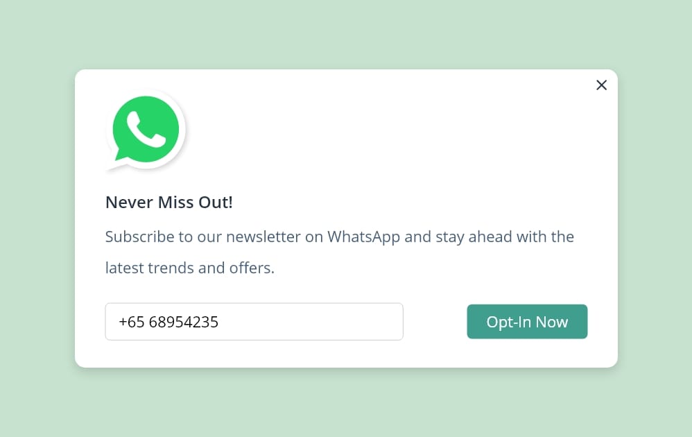 WhatsApp opt-in on registration