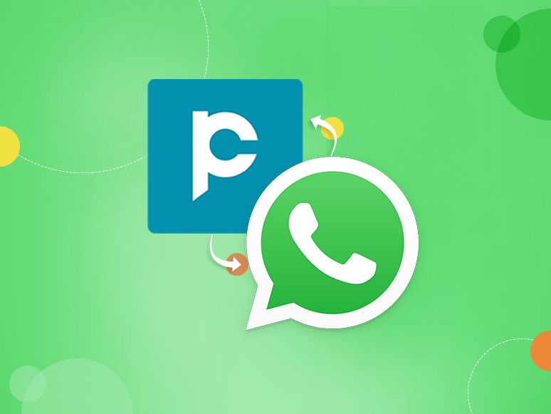 Meet your Leads where they are with WhatsApp Integration