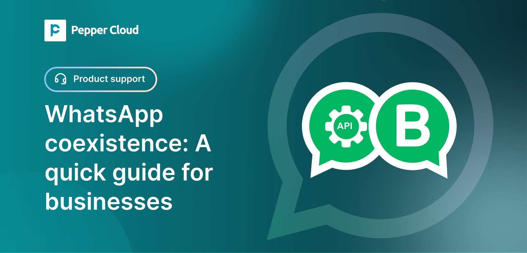 WhatsApp coexistence: The ultimate 2025 guide for business communication