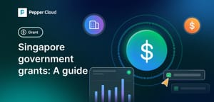 A guide to Singapore government grants