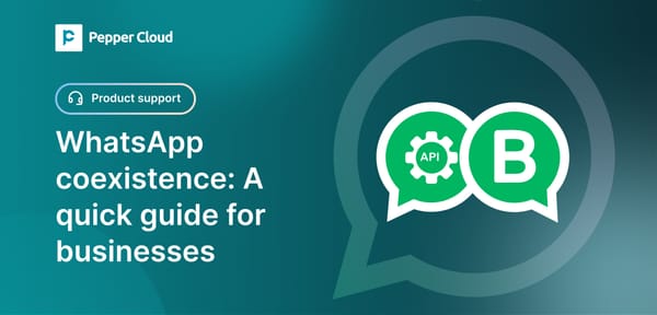 WhatsApp coexistence: The ultimate 2025 guide for business communication