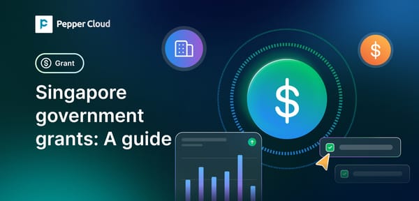 A guide to Singapore government grants